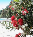 Tim Byrne - Wellington, Lower Hutt